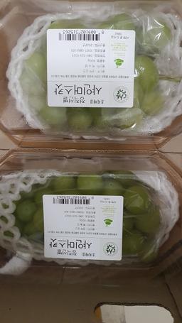 리뷰이미지