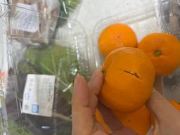 리뷰이미지