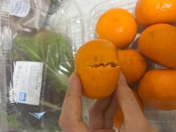 리뷰이미지
