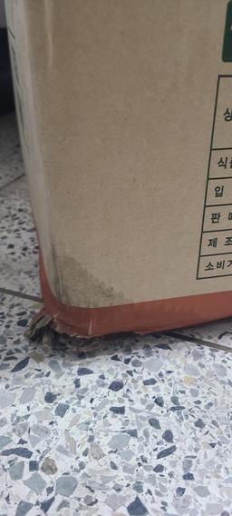 리뷰이미지