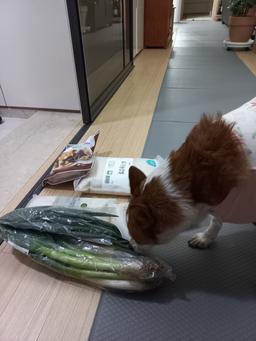 리뷰이미지