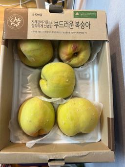 리뷰이미지