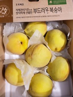 리뷰이미지