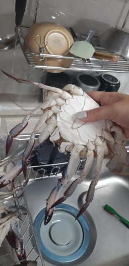 리뷰이미지