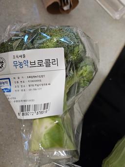 리뷰이미지
