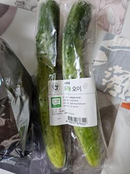 리뷰이미지