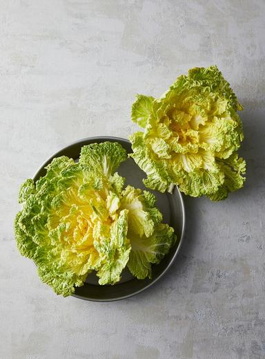 무농약이상 봄동 (500g)