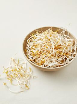 무농약 숙주나물 (300g)