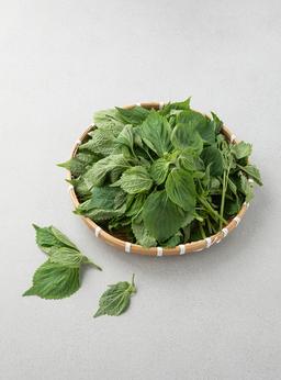 무농약이상 깻잎순 (200g)
