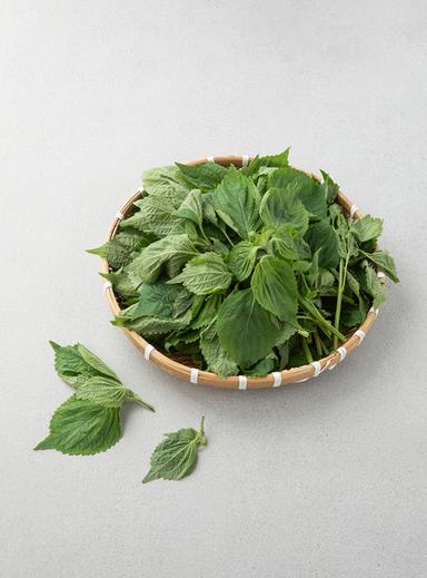무농약이상 깻잎순 (200g)
