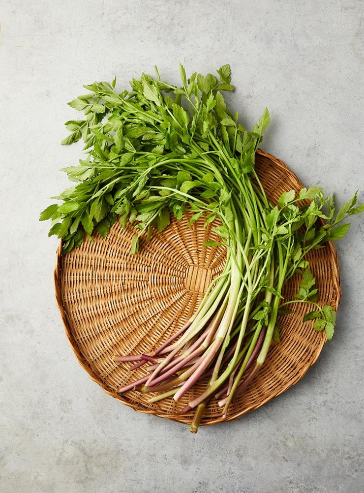 무농약이상 청도한재미나리 (200g)