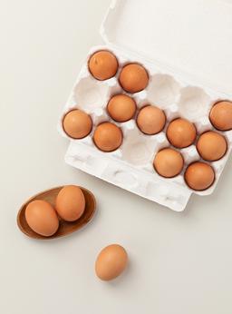 동물복지 유정란(15입)