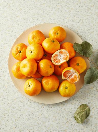 초록개런티 한판감귤(1.5kg)