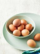 ★첫 달걀★동물복지 무항생제 초란(10입)