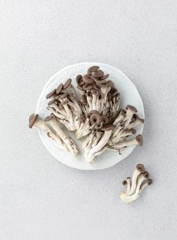 무농약 맛타리버섯(170g)