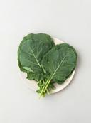 무농약이상_쌈케일(100g)