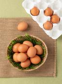 자유방목 무항생제 유정란(15입)