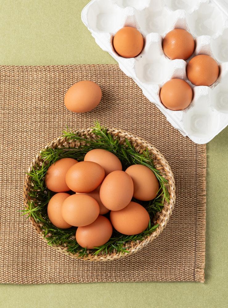 자유방목 무항생제 유정란(15입)