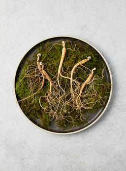 7년근 이상 산양산삼 (실속형10뿌리)