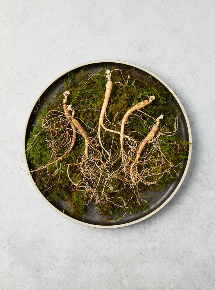 7년근 이상 산양산삼 (실속형10뿌리)