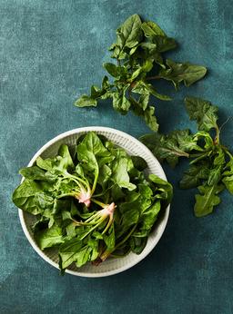 무농약이상 남해초 (200g)