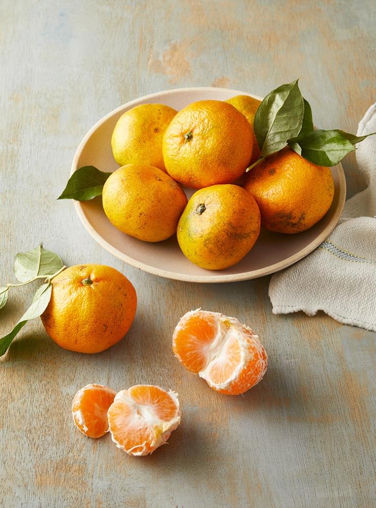 무농약이상 감귤(팩/1.5kg)