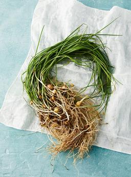 무농약이상 달래 (75g)