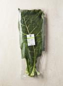 유기농 녹즙케일 (500g)